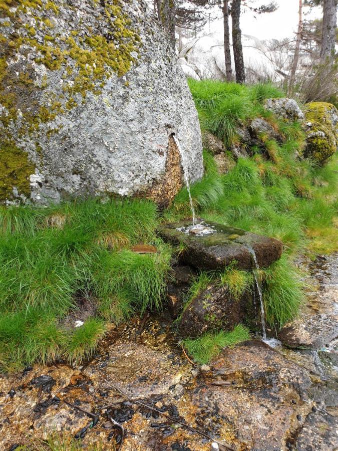 Casa Dos Cisnes - Serra Da Estrela - Sao Paio - Gouveia - Portugal Екстериор снимка